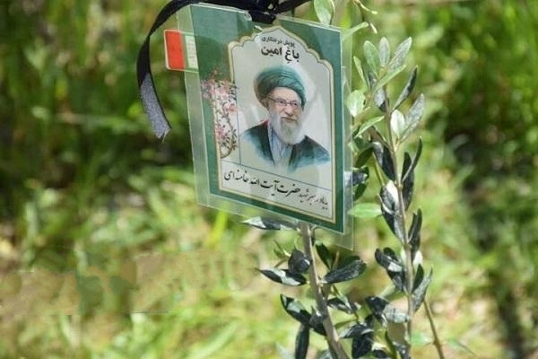 کاشت ۷.۵ میلیون نهال در لرستان