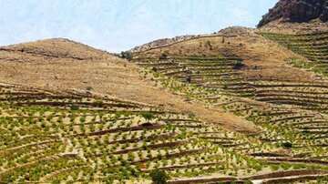 اراضی شیبدار طارم پس از سالها از نعمت آب سدها بهرهمند شدند اراضی شیبدار طارم پس از سالها از نعمت آب سدها بهرهمند شدند