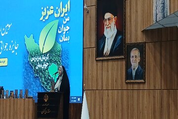 تأکید مدیرکل امور بانوان استانداری کرمان بر امنیت شغلی و مسکن به عنوان پیش‌شرط فرزندآوری