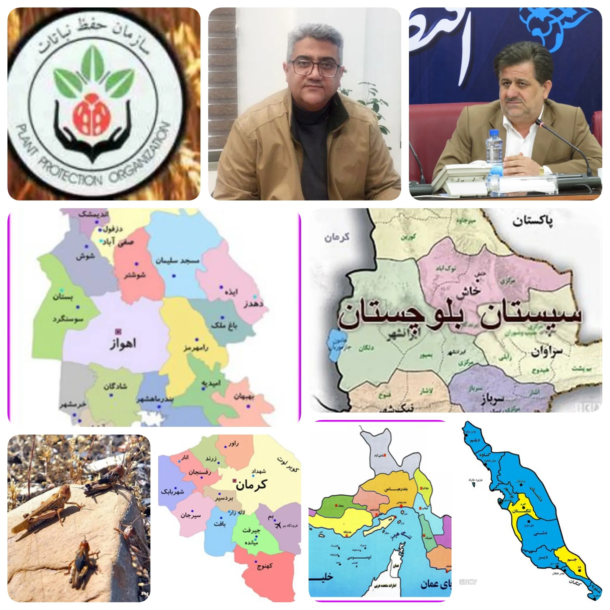 از امروز / خدمتی دیگر و گامبلند سازمان حفظ نباتات وزارت جهاد کشاورزی/سازمان نباتات آماده مهار موج جدید حمله ملخ ها به کشور/اکیپ های پایش در مناطق خطر آماده رصد و مهار هجوم ملخ ها به ایران هستند/ کشاورزی خوزستان، بوشهر، هرمزگان، سیستان و بلوچستان و جنوب کرمان در معرض هجوم میلیون ها ملخ صحرایی/چنلگوایی مشاور وزیر ورئیس سازمان حفظ نباتات وزارت جهاد کشاورزی گفت:جلساتی متعددی دراین مورد مسائل و مشکلات استانهای هرمزگان،خوزستان ،بوشهر ،سیستان و بلوچستان و کرمان در حوزه حفظ نباتات زراعت باغبانی و قرنطینه نباتی و جلوگیری از هجوم ملخ صحرایی و مشکلات مبادی ورودی و گمرگات و قرنطینه گیاهی در استانها تاکید شد/استراتژیهای و تکنولوژی ترین و نوین ترین دستگاهها برای مبارزه با هجوم ملخ صحرایی به ایران آماده است/موج حمله ای ملخ های صحرایی به کشور از اوآخر اسفند در کشور ریزش میکنند و موج دوم و سوم در فروردین ماه/در گفتگویی اختصاصی با لطیفیان معاون کنترل و آفات سازمان حفظ نباتات وزارت جهاد کشاورزی گفت:سازمان حفظ نباتات وزارت جهاد با پیش ۳۰۰ اکیپ پایش در داخل کشور با تجهیزات پیشرفته مجهز به اطلاعات ماهواره در حال رصد هستند عملیات کنترل این آفت از طریق سم پاشی به صورت روش های نوین از نظر تجهیزات تدارک دیده شده که با این آفت مقابله کرد
