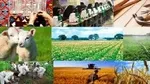 جذب تسهیلات اشتغال روستایی ۱۰۴ درصد نسبت به سهمیه