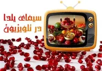 تمام مجریان یلدای تلویزیون/ ضیافت 