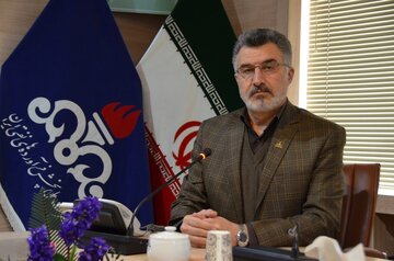میران مصرف بنزین در استان کرمانشاه روزانه ۲ و نیم لیتر است