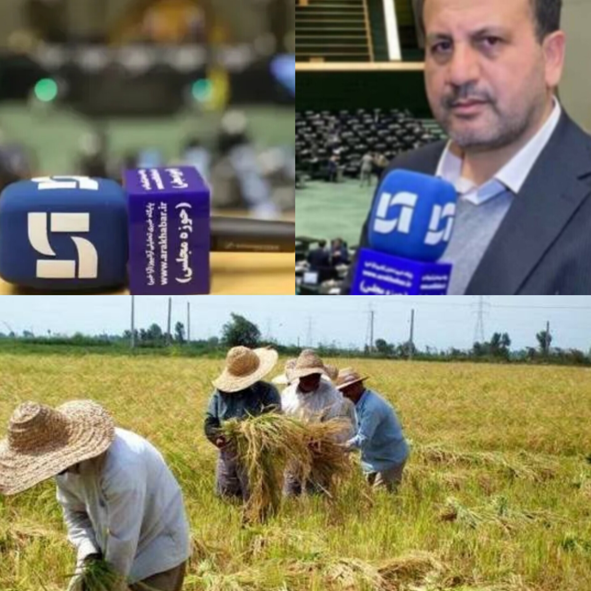 ریلگذاری برای جهش اقتصادی گلستان؛رحمتالله نوروزی نماینده مردم شریف علیآباد کتول و عضو کمیسیون اجتماعی مجلس پرچمدار مطالبات بر زمینمانده کشاورزان گلستان ریلگذاری برای جهش اقتصادی گلستان؛رحمتالله نوروزی نماینده مردم شریف علیآباد کتول و عضو کمیسیون اجتماعی مجلس پرچمدار مطالبات بر زمینمانده کشاورزان گلستان
