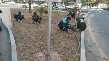 پایان عملیات کاشت ۱۰۰ هزار نهال در بافت تاریخی کرمان